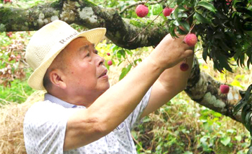 四十三年堅(jiān)守 打磨一顆“匠心”——記公司建廠元老、勞動(dòng)模范姚林根