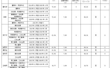 2019年度廣西柳工集團(tuán)有限公司企業(yè)負(fù)責(zé)人薪酬信息披露