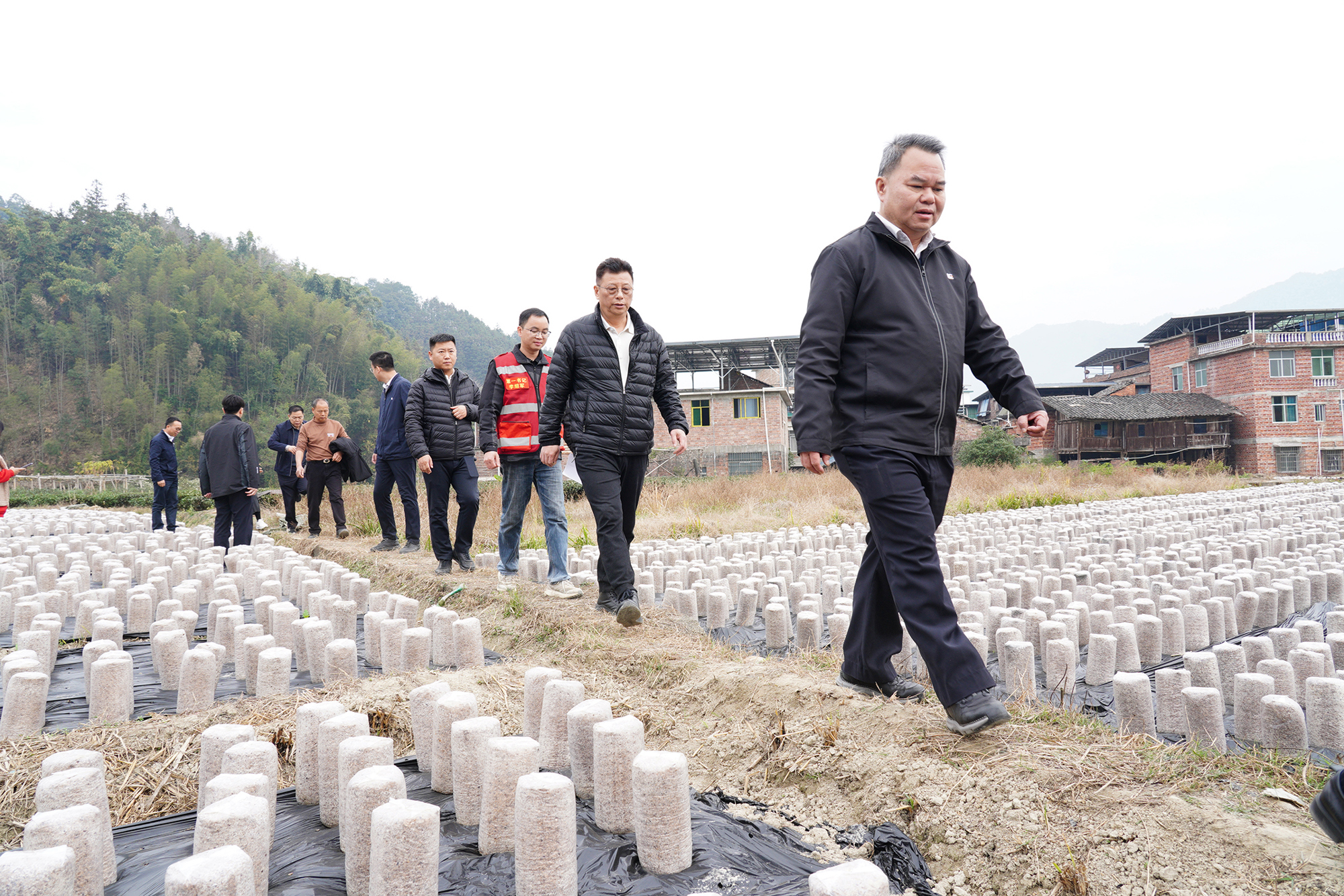 20251222-085240 拷貝