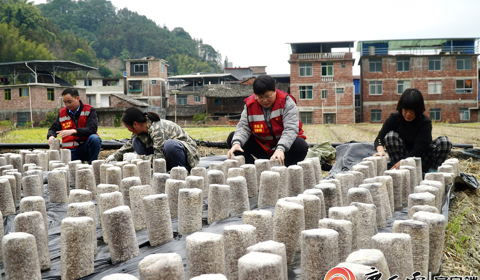 媒體聚焦 | 看柳工定點(diǎn)幫扶村：冬日栽下“金棒”，來(lái)年春日綻“金花”